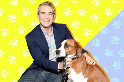Andy Cohen with His Dog Wacha