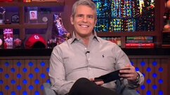 Andy Cohen Rhod Snake Painting