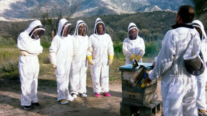 The RHOC Ladies Are Getting Bee Therapy