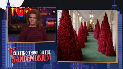 Sandra Bernhard on Melania Trump’s Red Christmas Trees