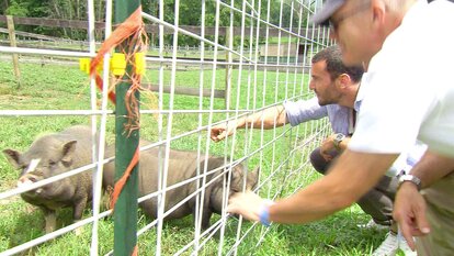 Steve Gold Visits a Hudson Valley Estate That Has Been a Sanctuary for Rescued Farm Animals