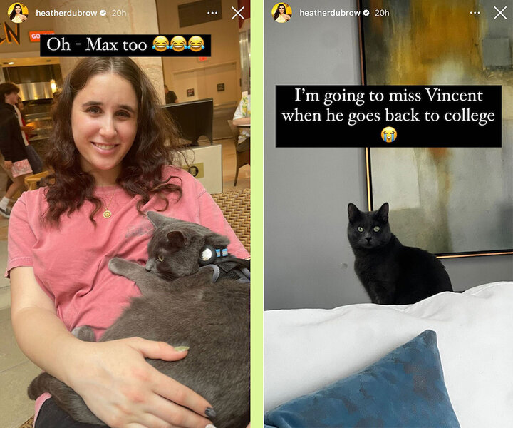 A split image of Max Dubrow and Vincent the cat on Heather Dubrow’s Instagram Story.