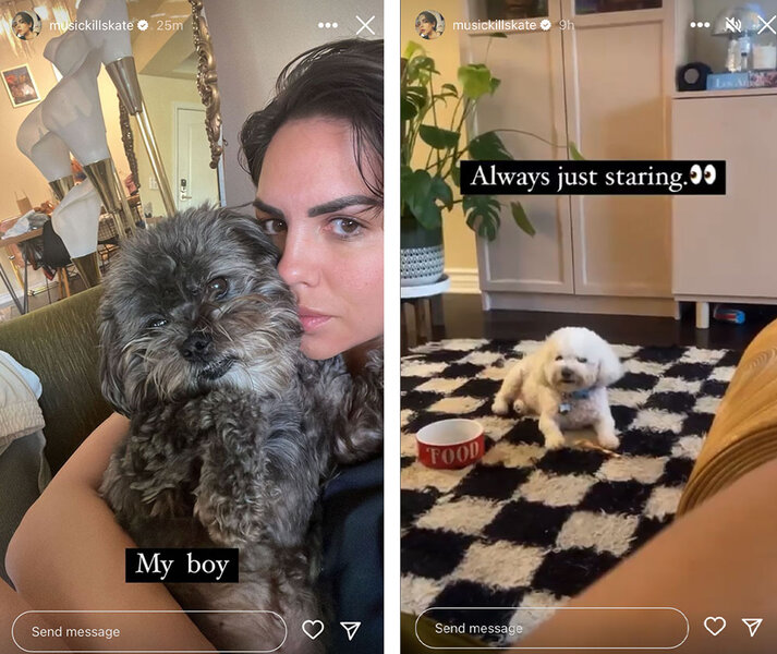 A series of images of Katie Maloney with her dogs.