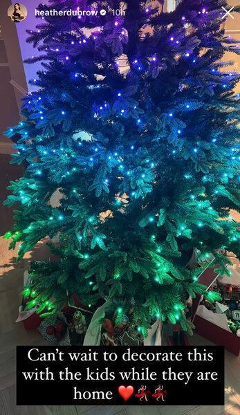 Heather Dubrow's 2023 Christmas tree decorated with lights.