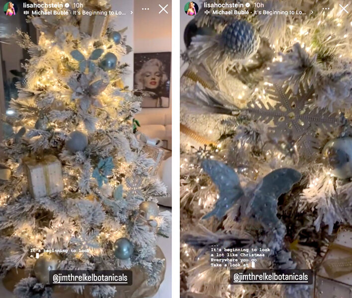Lisa Hochstein's Christmas tree decorated in her home.