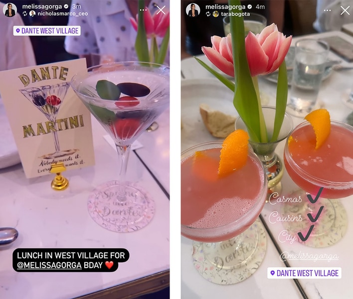 Melissa Gorga of The Real Housewives of New Jersey posts her birthday drinks on her Instagram story.