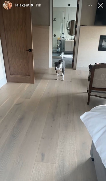 Lala Kent shows her dog in her new home.