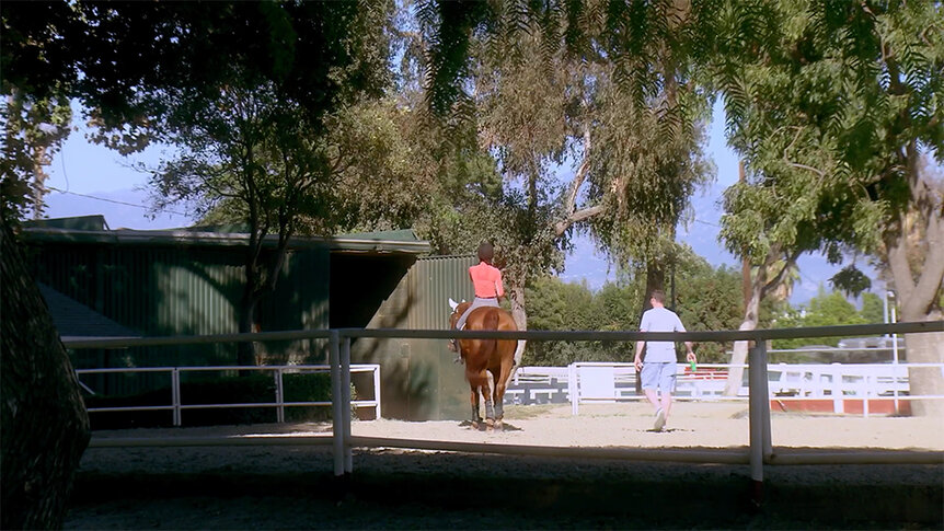 The Paddock Riding Club horse stable with large trees and a horseback rider.