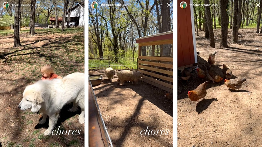 A series of images of Briana Culberson's farm and their animals.