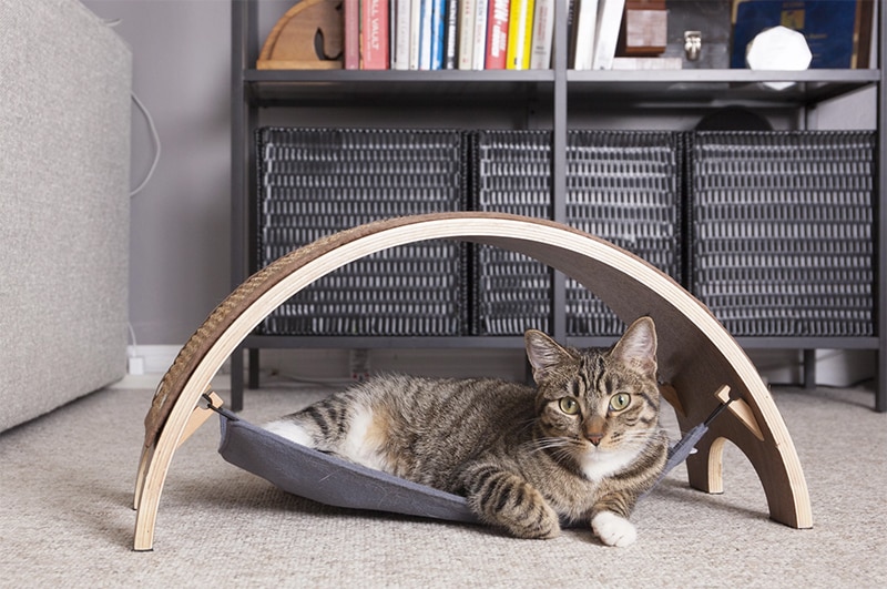 Best Cat Scratching Posts and Scratchers That Work