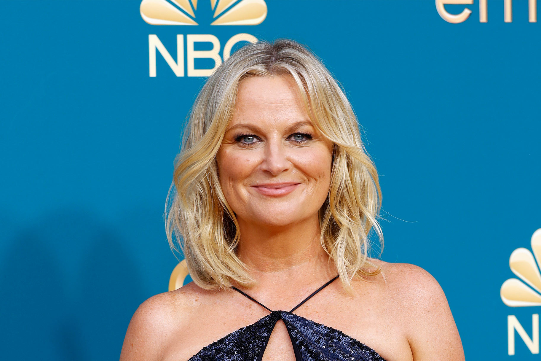 Amy Poehler smiling in front of a blue step and repeat wearing a navy gown.