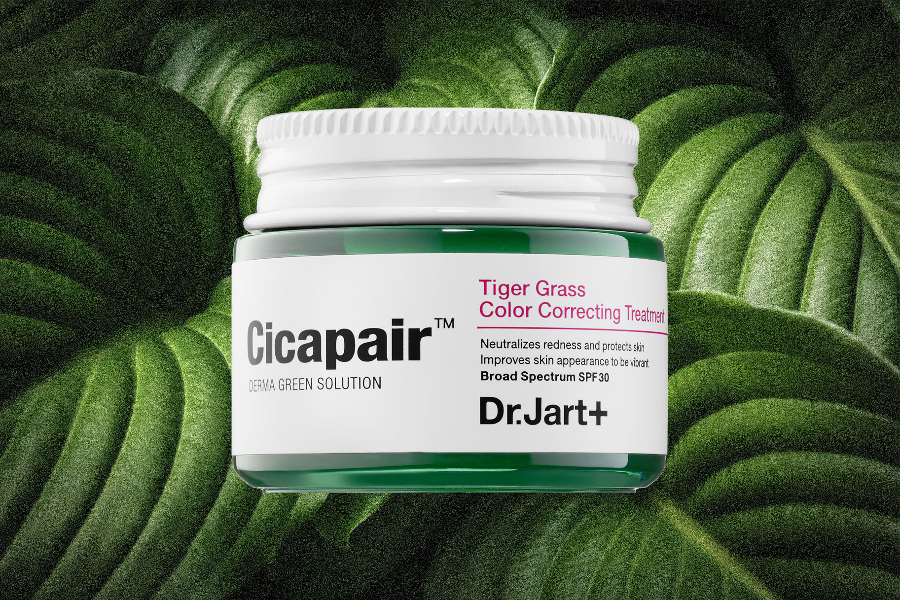 Dr. Jart+ Cicapair Tiger Grass Cream Review: Best Moisturizer for Redness