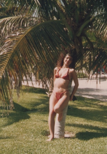 Teresa Giudice in a bikini