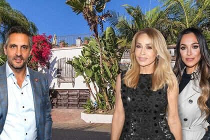 Faye Resnick Home Listing