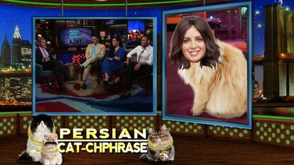 Persian Cat-chphrase