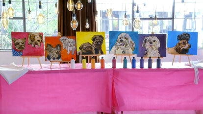 Kameron throws an extravagant "Paint Your Dog" party