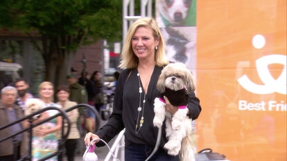 The Real Housewives Strut Their Mutts