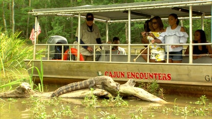 The Ladies of Married to Medicine Go Gator Hunting