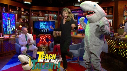 Keri Schools the Gay Shark!
