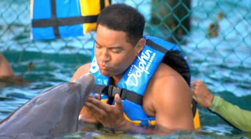 In the Water with Horny Dolphins