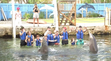 The Biermanns Play with Dolphins