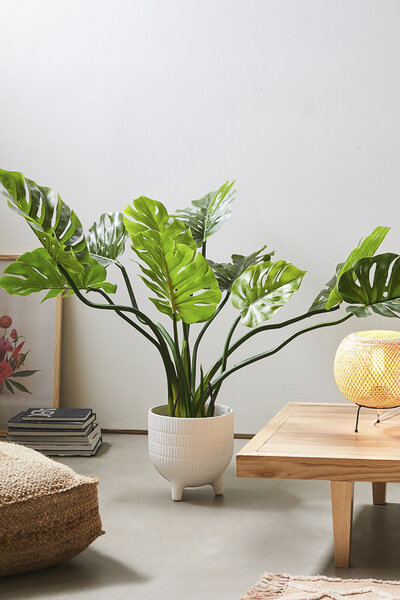 UO Philodendron Faux Plant