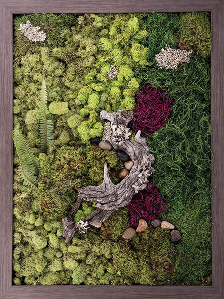 Nature's Glory-Biophilic Framed Art Moss Wall