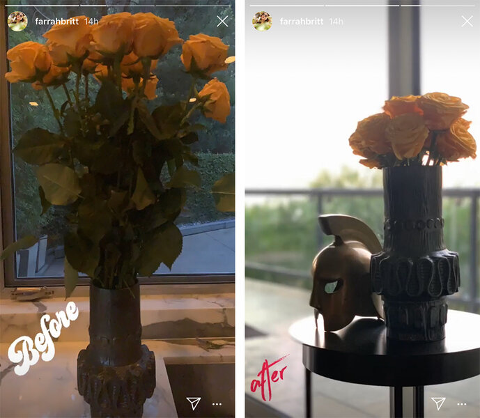 Farrah Aldjufrie's Before and After Roses
