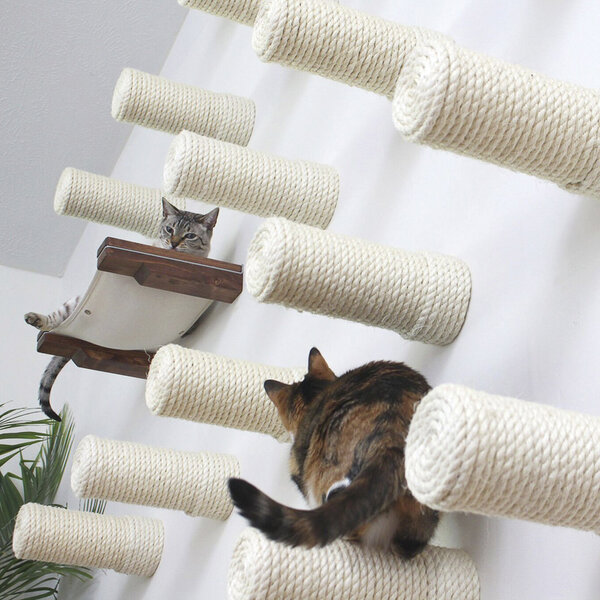 Best Cat Scratching Posts and Scratchers That Work