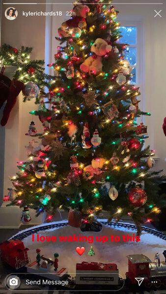 Kyle Richards Christmas Tree Decorations 01