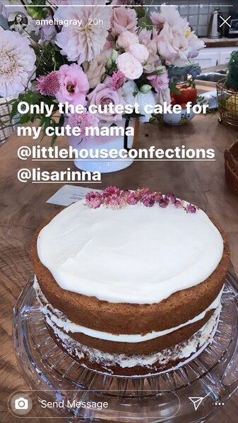 Lisa Rinna Birthday Cake 2