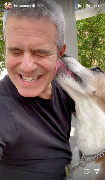 Andy Cohen and his former dog Wacha during a reunion