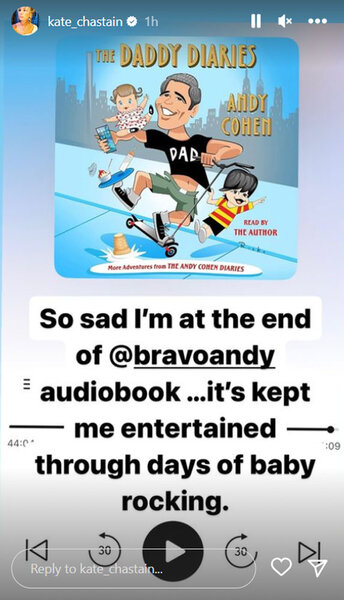 Image of The Daddy Diaries audio book cover