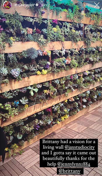 A wall of plants inside Jax Taylor's sports bar. Overlaid text, "Brittany had a vision for a living wall @jaxstudiocity and I gotta say it came out beautifully thanks for the help @jennylynn1884 @brittany."