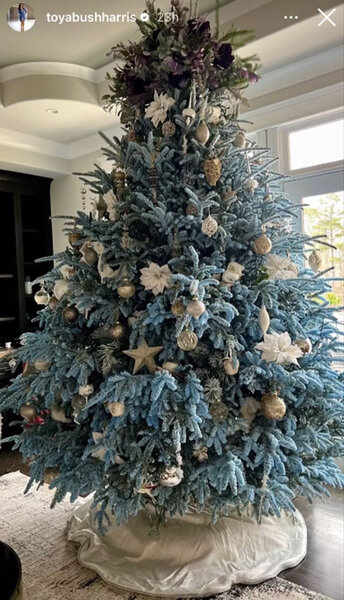 Toya Bush's frosted Christmas tree