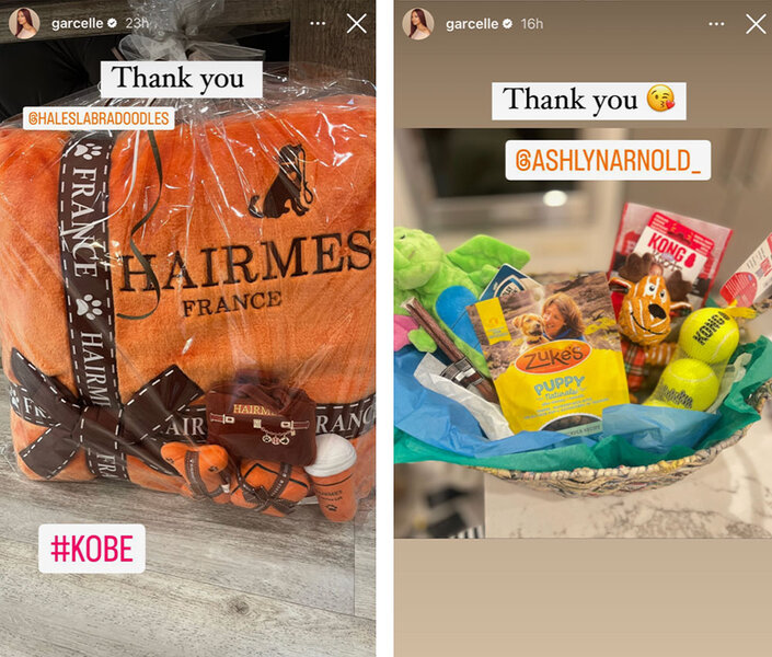 Dog treats and toys that are gifts for Garcelle Beauvais new pet dog.