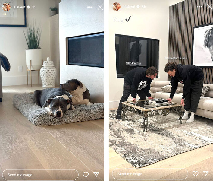 A series of Lala Kent's dogs and her living room in her new home