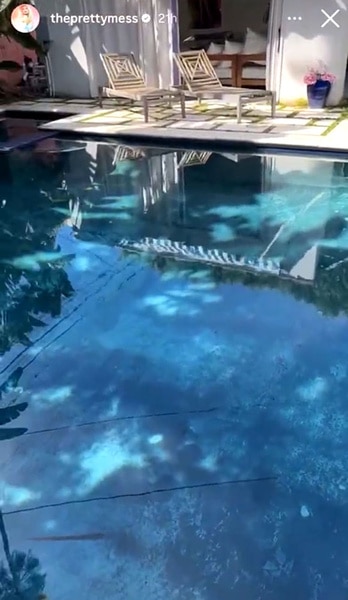 Erika Jayne's pool and ducks who have started living there.