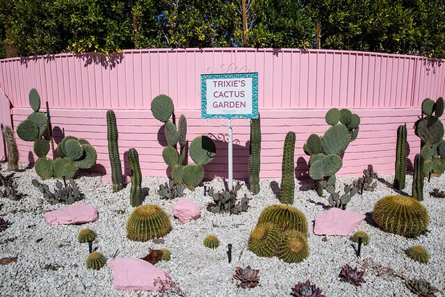 A cactus garden at the Trixie Motel in Palm Springs.