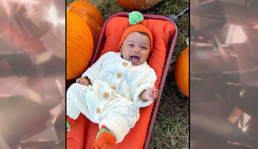 Mecca laughing at a pumpkin patch.