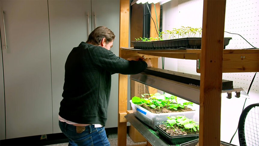 Craig Conover tending to his plants sprouting under a lamp.