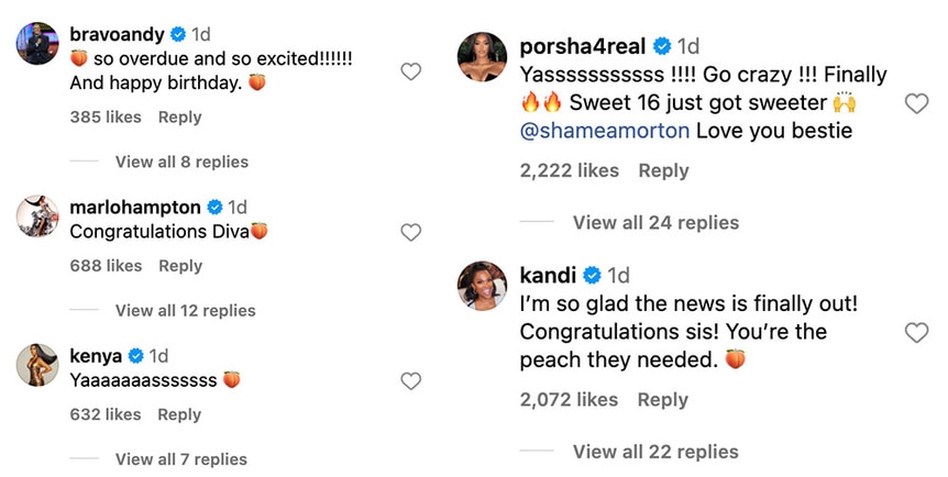 Andy Cohen, Marlo Hampton, Kenya, Porsha Williams, and Kandi Burruss commented on Shamea's Instagram post announcing her RHOA casting news.