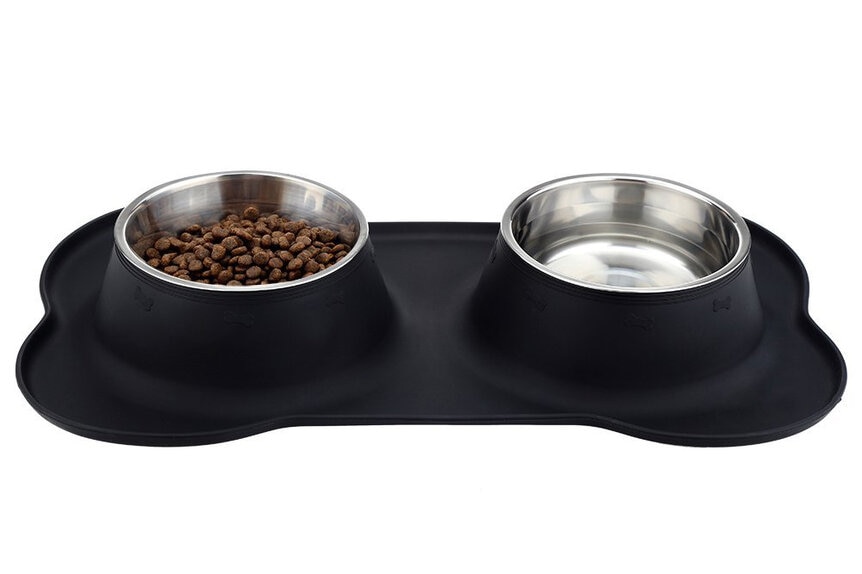 Best Dog Bowls to Buy