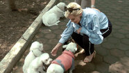 Doris Bessudo Takes Raquel Bessudo to Look at Adoptable Dogs!