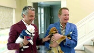 Carson Kressley and Thom Filicia Make Some Furry Friends